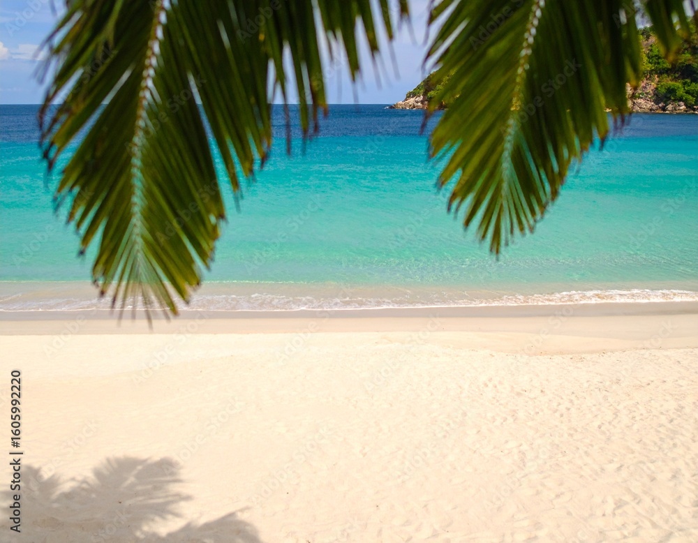 Obraz premium Summer sea and seascape with palm branches