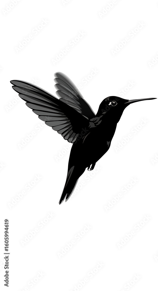 Obraz premium A monochrome illustration of a hummingbird in flight with wings spread on a white background