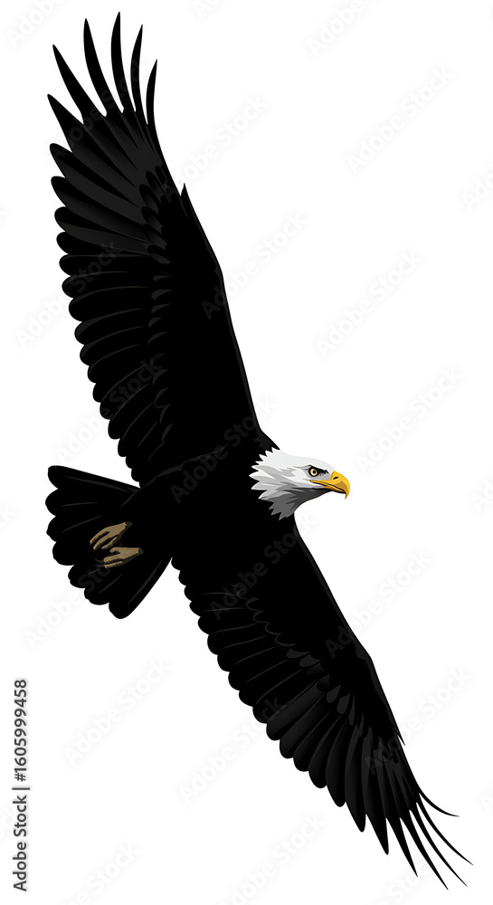 Naklejka premium A majestic bald eagle soaring through the sky with its wings fully extended on a white background