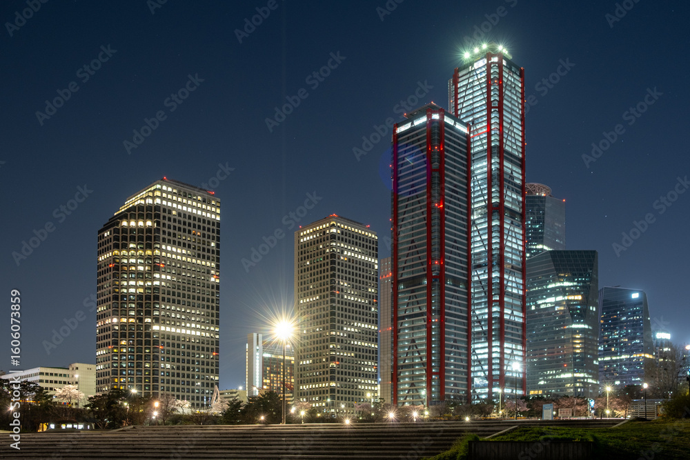 Fototapeta premium seoul in the night 