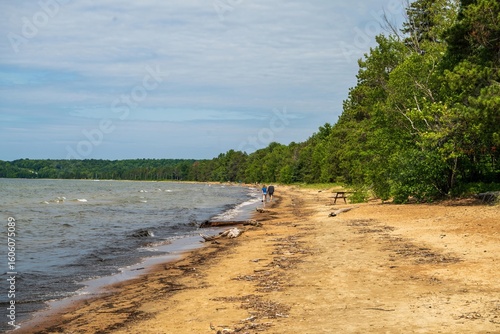 river in the forest