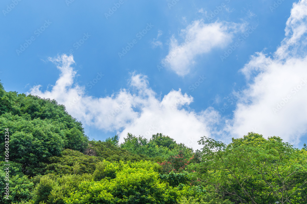 夏の空 夏山から見る青空と雲と山の木々67 夏の空 夏山から見る青空と雲と山の木々67