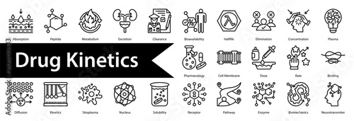 Drug Kinetics Icon Collection Set. Containing: 

Absorption,Peptida,Metabolism,Excretion,Clearance,Bioavailability,Half-life,Elimination,Concentration,Plasma,Pharmacology,Cell Membrane,Dose,Rate,
