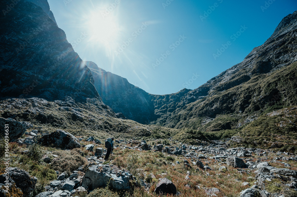 Obraz premium View from Milford Track, Fiordland National Park, New Zealand