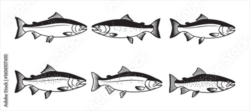 Icons representing salmon fish, featuring both sea saltwater humpback and freshwater river pink salmon or trout species. Isolated symbols ideal for a seafood restaurant.

