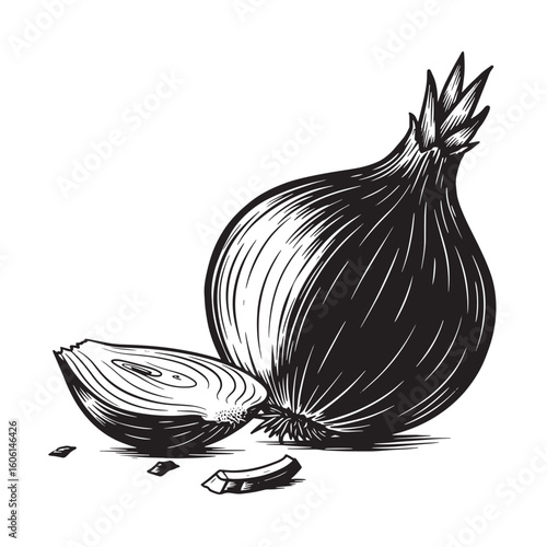 Whole and sliced onion in vintage art style vegetable food