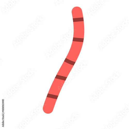 Roundworms