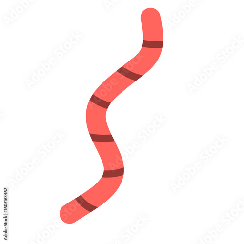 Roundworms