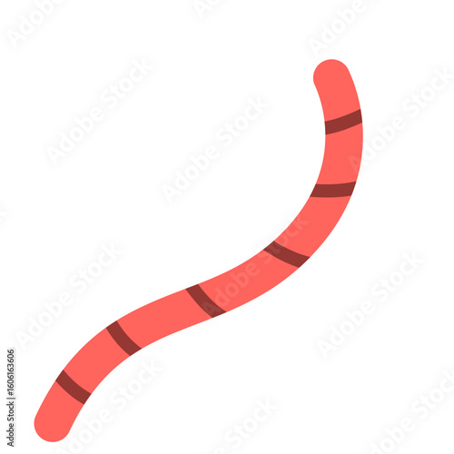 Roundworms