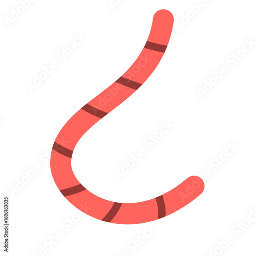 Roundworms