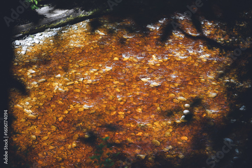 Oparara River in Kahurangi National Park, New Zealand