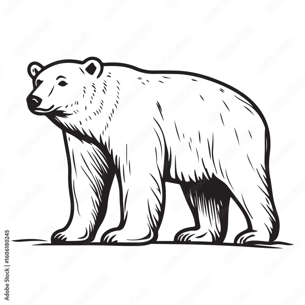 Obraz premium Simple a Bear line art vector design white background