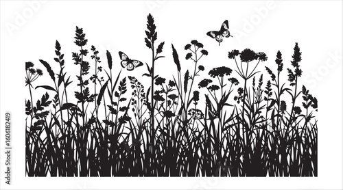 A smooth horizontal border featuring monochrome wild plants and butterflies. A black silhouette of meadow grass and wildflowers arranged in a row against a white background.