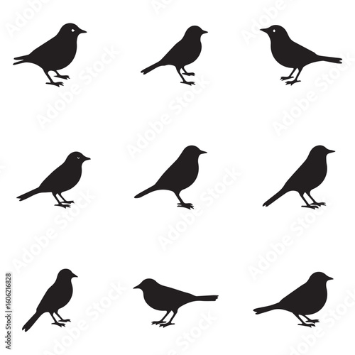 Wallpaper Mural Silhouette Bird Icon Set Featuring Distinct Species in Clean Minimal Vector Style Layout.  Torontodigital.ca