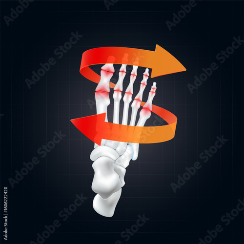 Arthritis and osteoarthritis. Red rotating arrow around toe joint cartilage inflammation on dark background. Human foot skeleton anatomy. For design medical or scientific treatments. Vector EPS10.