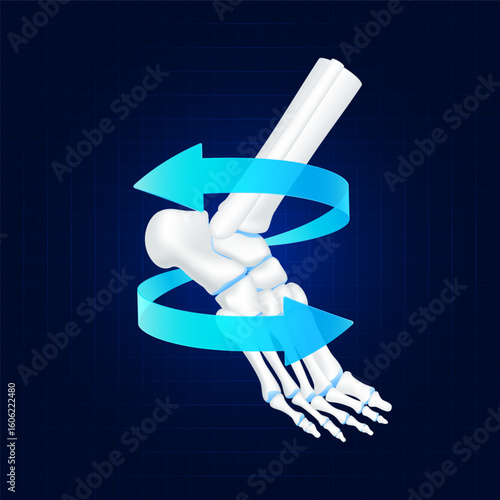 Healthy bone. Blue rotating arrow around toe joint cartilage on dark background. Strong human foot anatomy. For design medical or scientific treatments. Vector EPS10.