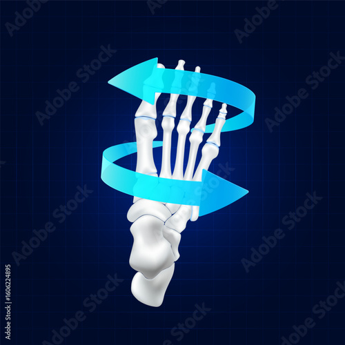 Healthy bone. Blue rotating arrow around toe joint cartilage on dark background. Strong human foot anatomy. For design medical or scientific treatments. Vector EPS10.