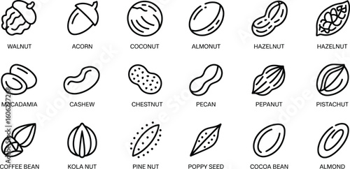 Assorted Nuts and Seeds Outline Icons Set on Transparent Background, Line Art