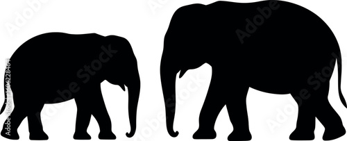 Two elephants walking side by side silhouette