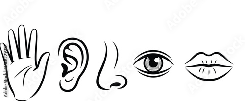 Five Human Senses Hand, Ear, Nose, Eye, and Mouth with Black Line Art on White