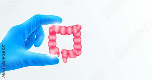Doctor's hand in blue gloves holding intestine. Shows human organ model close up on white background with blank space for your text. Medical health care analyzes. Vector realistic images.