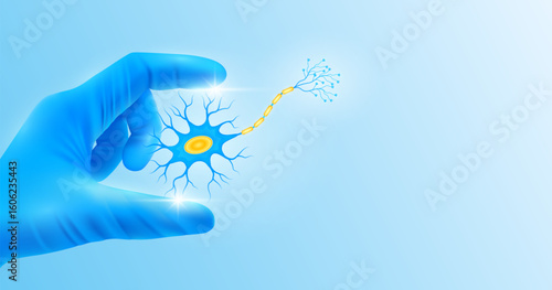 Doctor's hand in blue gloves holding nerve cell. Shows human organ model close up on white background with blank space for your text. Medical health care analyzes. Vector realistic images.
