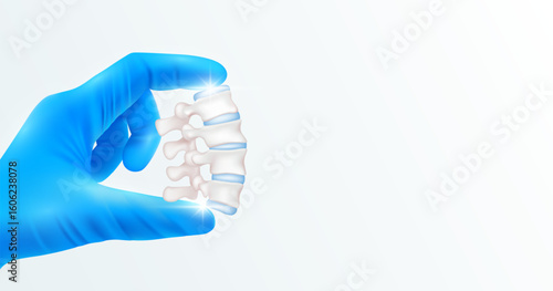 Doctor's hand in blue gloves holding vertebral. Shows human organ model close up on white background with blank space for your text. Medical health care analyzes. Vector realistic images.
