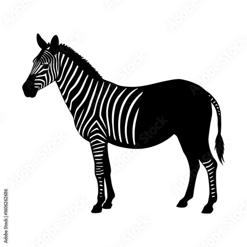 Standing zebra mammal wildlife animal safari stripes vector art silhouette