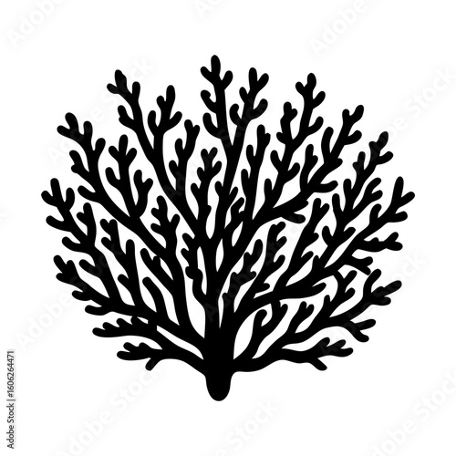 Seaweed ocean plant marine life aquatic underwater silhouette