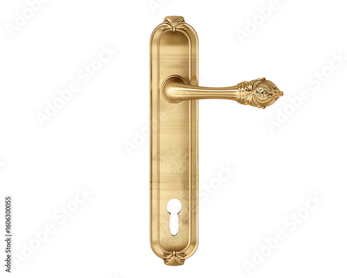 Elegant polished brass door handle with keyhole plate