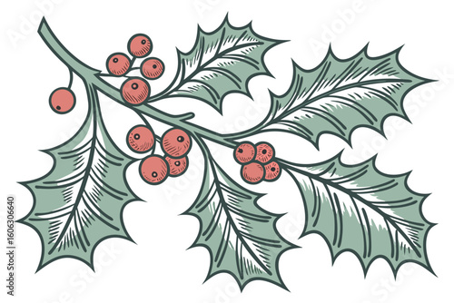 holly and berries