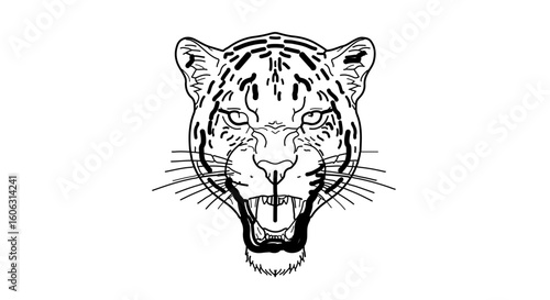 Jaguar face drawing vector illustration black and white line art predatory animal wild cat feline outline design 100