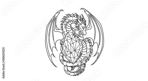 Detailed line art dragon illustration for coloring pages and fantasy art projects geometric dragon design 100