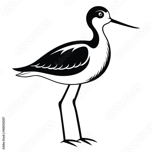 Elegant Black and White Illustration of a Long Legged Bird in a Striking Minimalist Design for Nature Enthusiasts