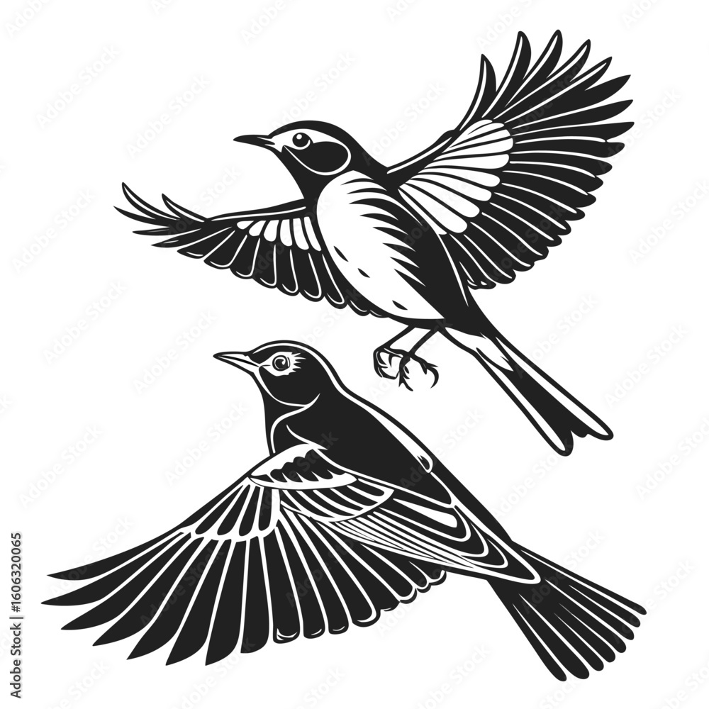 Naklejka premium Monochrome Illustration of Two Birds in Flight Displaying Detailed Wing Feathering and Anatomical Accuracy in a Vintage Style