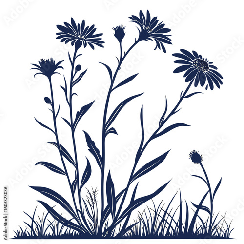 floral background with  asters perennial
