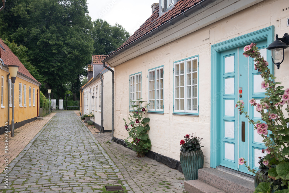 Obraz premium The beautiful houses in Maribo, Denmark
