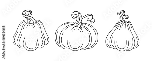 Set of hand-drawn monoline pumpkins. Autumn squash collection for coloring pages and fall decor