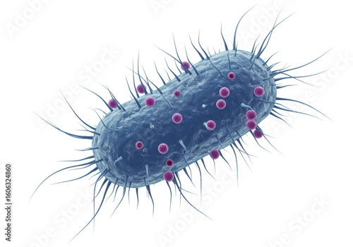 3d rendering of a blue bacterium with flagella and purple granules isolated on a transparent background