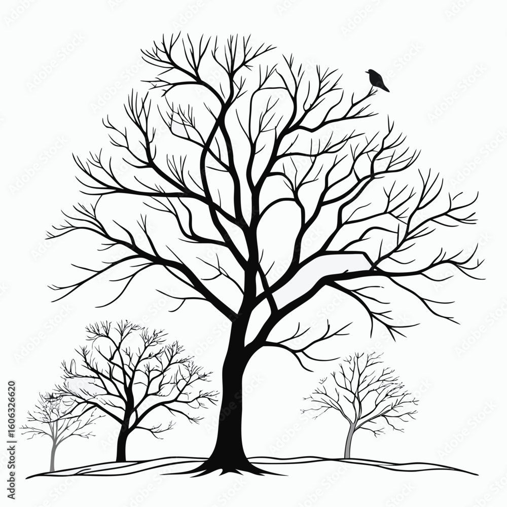 Obraz premium Minimalist black leafless trees with branches and a single bird line art black and white