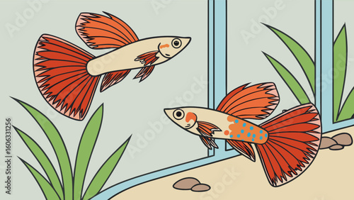 Guppy fish tank aquarium pet tropical fish freshwater fish illustration vector image graphic art design