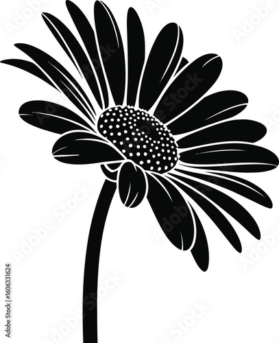 Black daisy silhouette flower white