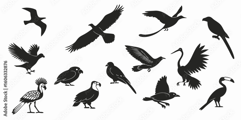 Obraz premium Collection of diverse bird silhouettes in flight and perched isolated on white background