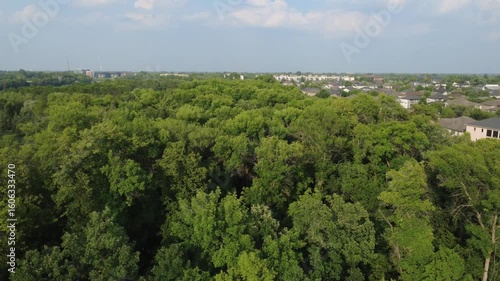 City park reveal 