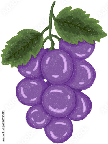 bitmap illustration of grape with crayon digital coloring 
