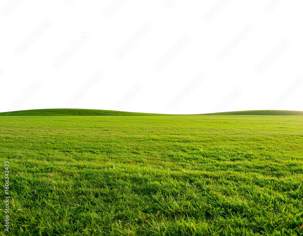 Obraz premium Panoramic Green Grass Field with Bright Sky and Light Clouds, Transparent Background PNG