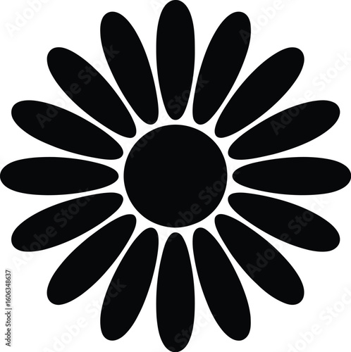 Black daisy flower silhouette white