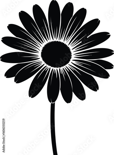 Black daisy silhouette flower bloom