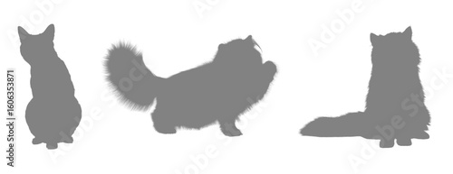 Three gray cat silhouettes against black background