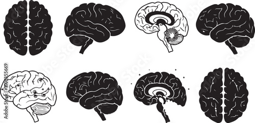 Collection of human brain icons in various anatomical views. A set of scientific illustrations representing neurology, thought, and intelligence.